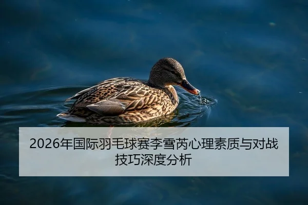 2026年国际羽毛球赛李雪芮心理素质与对战技巧深度分析