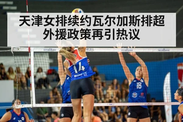volleyball match action